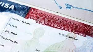 Navigating the Path to a Business Visa for the USA